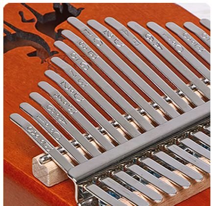Close-up of the note-labeled steel tines